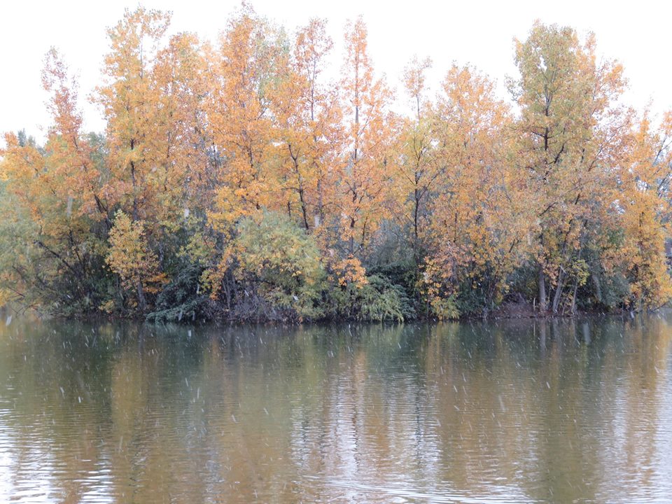 Things You Should Know Thursday: Fall Camping