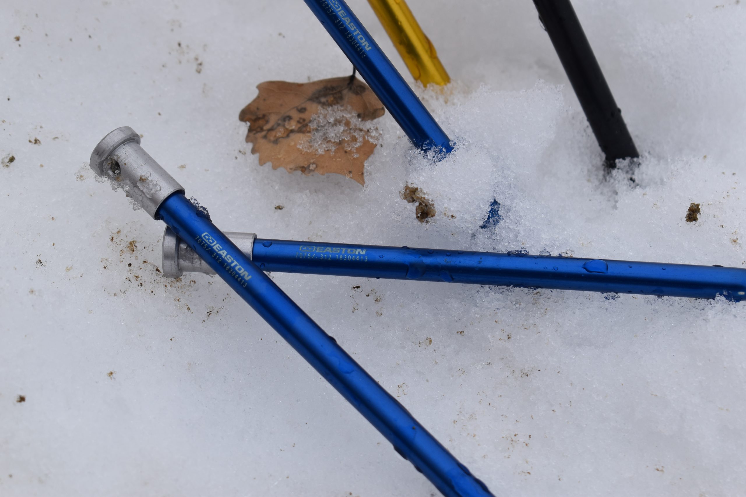 DSC_0066 tent stake close up
