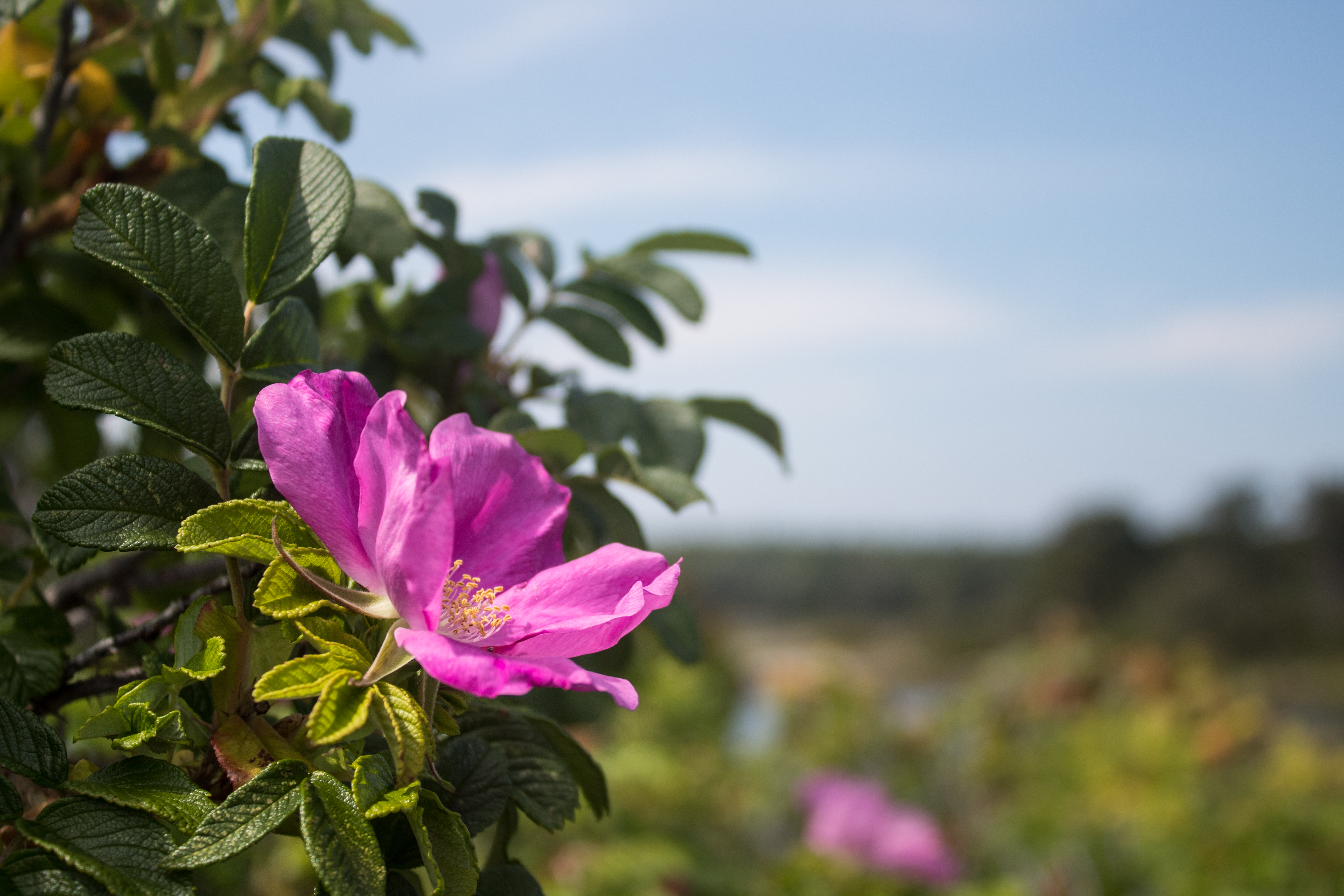 Caring for your Warmlite Gear