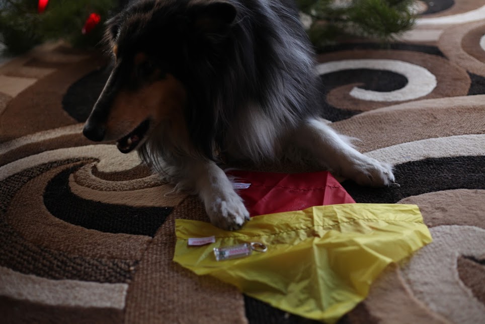 hawkdb2 warmlite pet gear